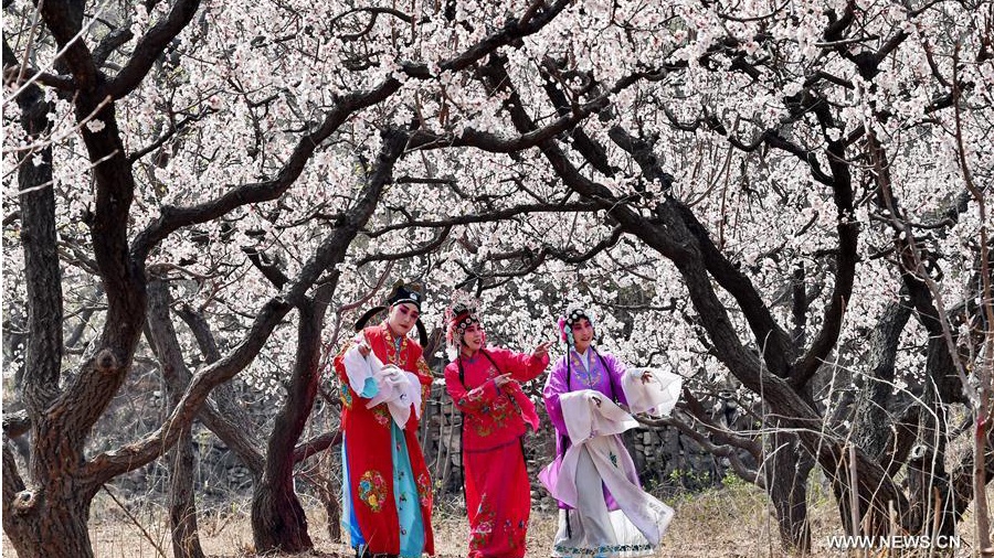 Opera loversperform at pear garden in N China