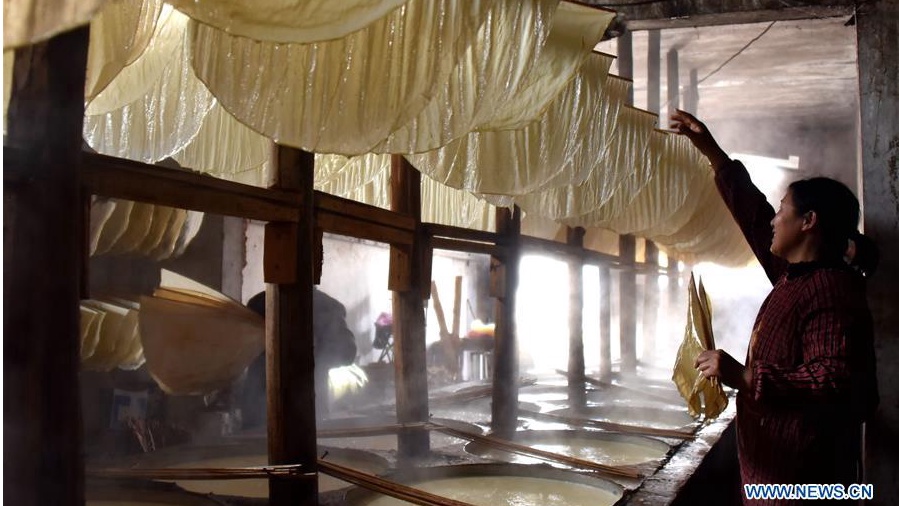 Bean curd skin traditional snack in China