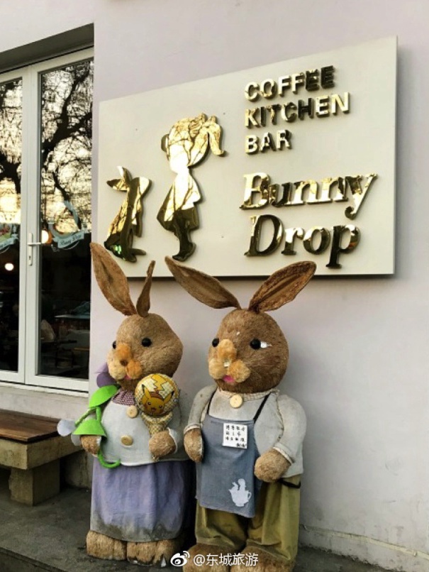 一家以兔子为主题的咖啡馆bunnydrop白兔糖咖啡