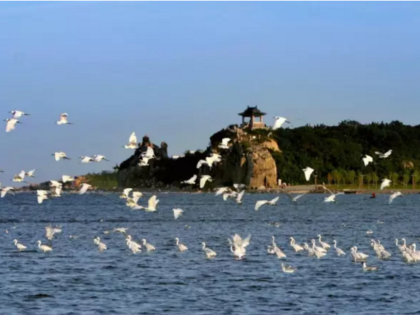 秦皇岛有啥好玩的景点图片